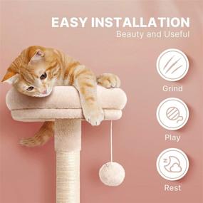 img 1 attached to 🐱 Compact Kitten Cat Tree, LIOOPET 30 Inches Short Cat Tree with Hammock and Scratching Post, Petite Cat Tower for Indoor Cats, Multi-Level Cat Condon Perches (Beige)