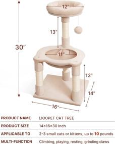 img 3 attached to 🐱 Compact Kitten Cat Tree, LIOOPET 30 Inches Short Cat Tree with Hammock and Scratching Post, Petite Cat Tower for Indoor Cats, Multi-Level Cat Condon Perches (Beige)