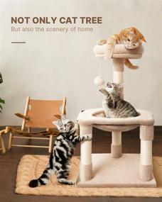 img 2 attached to 🐱 Compact Kitten Cat Tree, LIOOPET 30 Inches Short Cat Tree with Hammock and Scratching Post, Petite Cat Tower for Indoor Cats, Multi-Level Cat Condon Perches (Beige)