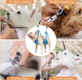 img 1 attached to SUAOEO Pet Grooming Hammock Kit: Breathable Hammock Set for Dogs and Cats (Blue S) - Ultimate Pet Grooming Harness Solution