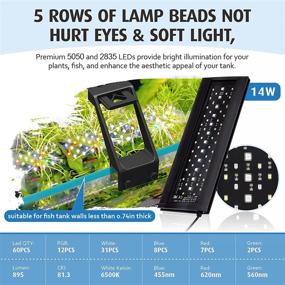 img 2 attached to 🐠 Hygger Clip On Full Spectrum Aquarium LED Light: 14W Dual Timer, Sunrise-Day-Sunset-Moon Cycle, Adjustable Brightness with 9 Colors for Planted Tank