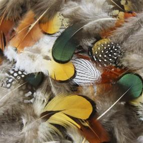 img 2 attached to Пакет Coceca из 180 разных смешанных перьев в 6 стильных дизайнах для поделок «Ловец снов»