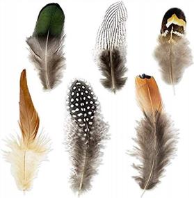 img 4 attached to Coceca Pack Of 180 Assorted Mixed Feathers In 6 Stylish Designs For Dream Catcher Crafts
