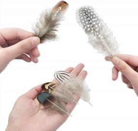 img 1 attached to Coceca Pack Of 180 Assorted Mixed Feathers In 6 Stylish Designs For Dream Catcher Crafts