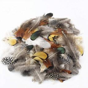 img 3 attached to Coceca Pack Of 180 Assorted Mixed Feathers In 6 Stylish Designs For Dream Catcher Crafts