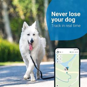 img 2 attached to 🐶 Tractive Waterproof GPS Dog Tracker: Ultimate Location & Activity Monitoring with Unlimited Range and Universal Collar Compatibility (Midnight Blue)