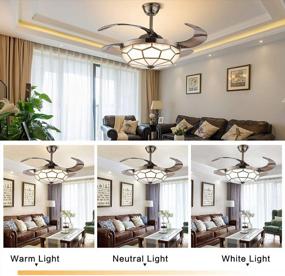 img 2 attached to Gdrasuya10 42 Inch Copper Golden Ceiling Fans With LED Light, Modern Invisible 42" LED Fan Chandelier With Remote Control Tricolor Dimming 4 Retractable Blades USA STOCK (Style 401)