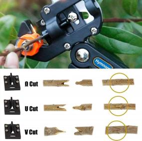img 1 attached to Revolutionize Your Pruning Technique With Hymnorq Garden Fruit Tree Pruning Shears – Includes 3 High-Quality Blades For Grafting And Cutting