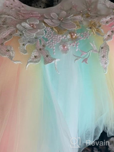 img 1 attached to Weileenice Baby Girls Costume: Rainbow Tulle Princess Tutu Dress with 3D Embroidery and Beading - Perfect for Cosplay! review by Adam Jauregui