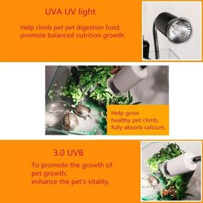 img 1 attached to 🐢 3-Pack of OTO 50W UVA(97%) & UVB(3%) Sun Lamps - Ideal for Sunbathing Pet Coops, Reptiles, Chickens, Lizards, Turtles, and Brooders