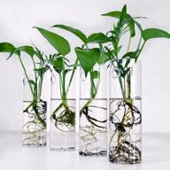 4 cylinder wall hanging planter glass plant propagation station | home garden office decoration accessories logo