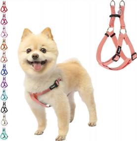 img 4 attached to Adjustable Nylon Dog Harness With ID Tag For Comfortable And Safe Outdoor Walks - PUPTECK No-Pull Puppy Vest