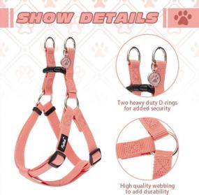 img 2 attached to Adjustable Nylon Dog Harness With ID Tag For Comfortable And Safe Outdoor Walks - PUPTECK No-Pull Puppy Vest