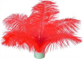 img 4 attached to 20 Natural Red Ostrich Feathers Plumes 8-10 Inches (20-25Cm) For DIY Christmas Decorations, Wedding Centerpieces, Gatsby Theme Decor, And More By Piokio