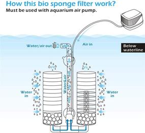 img 1 attached to 🐠 hygger Sponge Filter: Ultra Quiet Aquarium Filter with Double Sponge for Effective Filtration, Includes 4 Biochemical Sponges and Filtered Ceramic Balls - Ideal for Fish Tanks (S/M)