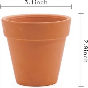 img 3 attached to 3 Inch Terra Cotta Flower Pots With Drainage Holes - Pack Of 10 Small Craft Nursery Succulent Plant Pottery Clay Pots For Water Permeable Cactus Plants