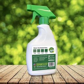 img 1 attached to All-Natural Grass And Turf Paint For Warm Season Grasses - Restore Your Lawn With Eco-Friendly Spray Application - Pet-Friendly And 16 Oz