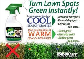 img 3 attached to All-Natural Grass And Turf Paint For Warm Season Grasses - Restore Your Lawn With Eco-Friendly Spray Application - Pet-Friendly And 16 Oz