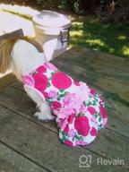img 1 attached to KYEESE Floral Rose Dog Dresses with Flowers Decoration - Elegant Princess Dress for Small Dogs, Ideal for Spring and Summer - Puppy Apparel and Pet Clothing review by Kevin Lawson