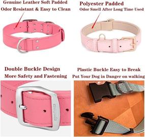 img 3 attached to 🐶 Premium Compuda Leather Dog Collar: Soft-Padded, Double Buckle, Full Genuine Leather for Medium to Large Dogs