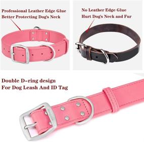 img 2 attached to 🐶 Premium Compuda Leather Dog Collar: Soft-Padded, Double Buckle, Full Genuine Leather for Medium to Large Dogs