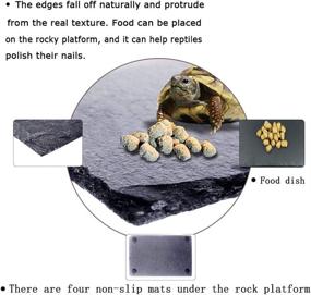 img 3 attached to 🦎 Explore the Tfwadmx Reptile Basking Platform: A Natural Rock Landscape Habitat Decor for Turtle Lizard Bearded Dragon Crested Gecko Snake