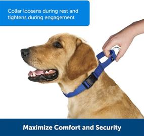 img 3 attached to Adjustable Martingale Collar with Buckle for Dogs - Enhanced Control and Slip-Prevention - Ideal for Strong Pullers - Choke Collar Alternative - Various Styles Available