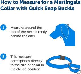 img 2 attached to Adjustable Martingale Collar with Buckle for Dogs - Enhanced Control and Slip-Prevention - Ideal for Strong Pullers - Choke Collar Alternative - Various Styles Available