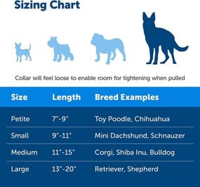 img 1 attached to Adjustable Martingale Collar with Buckle for Dogs - Enhanced Control and Slip-Prevention - Ideal for Strong Pullers - Choke Collar Alternative - Various Styles Available