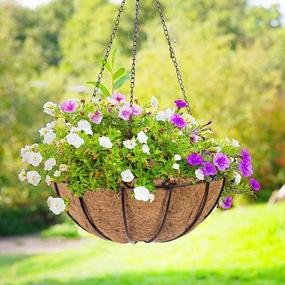 img 1 attached to 12 Inch Metal Hanging Planter Basket 2 Pack - Coir Liner, Chain & Porch Decor Flower Pots
