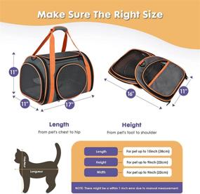 img 1 attached to 🐱 Compact Cat Carrier with Fleece Pad - Portable and Foldable Small Pet Carrier, Enhanced Safety Features - Cat Bag Carrier for Medium Cats, Soft-Sided Design in Vibrant Orange