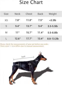 img 3 attached to Стильные и удобные футболки для маленьких собак с уникальными принтами — упаковка из 2 штук от DroolingDog