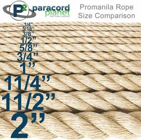 img 1 attached to Strong and Durable 3/8 Inch x 250 Feet 3 Strand Twisted ProManila Polypropylene Rope for Various Uses