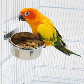 img 2 attached to 🐦 Premium Stainless Steel Bird Cage Seed Feeder Set for Medium and Large Parrots - 2 Pack
