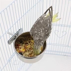img 1 attached to 🐦 Premium Stainless Steel Bird Cage Seed Feeder Set for Medium and Large Parrots - 2 Pack