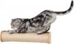 wall-mounted cat scratching post and shelf with non-slip floor standing, made of nature sisal rope - no messy shavings from myzoo cylinder logo