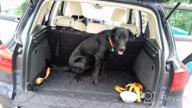 картинка 1 прикреплена к отзыву USA-Made Extra Large Black SUV Cargo Liner For Dogs By 4Knines - Perfect For Protecting Your Vehicle! от Kimoni Arenas