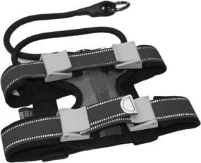 img 1 attached to 🐶 Cesar Millan Pack Leader Collar™ - Premium Dog Whisperer Training Collar (Medium Size, Grey)