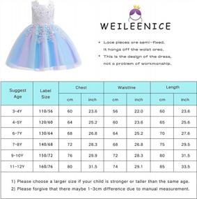 img 3 attached to Stunning Christmas Flower Girl Dresses: Rainbow Tulle, 3D Embroidery, And Beading For Princess Pageants And Weddings By Weileenice