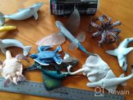 img 1 attached to 12-Piece Realistic Ocean Animal Toy Figures Set - Durable Plastic Sea Creature Toys For Kids - Variety Marine Life Figures For Bath Time - Perfect Gift For Boys And Girls review by Robert Norris