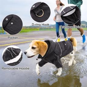 img 1 attached to FUAMEY Lightweight Waterproof Transparent Reflective Dogs