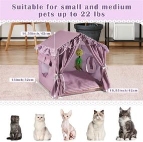 img 3 attached to 🐱 Premium Grand Line Cat Bed Cat House with Washable Cushion, All-Season Cat Tent Kitty Hideaway, Durable Cat Dog Nest for Small to Medium Pets up to 22 lbs, Indoor Purple Wave Pattern Design