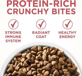 img 3 attached to 🐟 Purina One +Plus Indoor Advantage: High Protein Cat Food with Real Salmon as No. 1 Ingredient