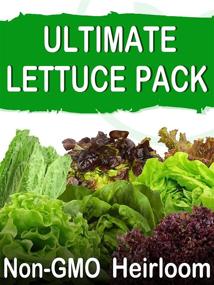 img 4 attached to 10 Varieties Of Heirloom Lettuce Seeds - 85%+ Germination Rate, Non-GMO & USA Source For Planting Survival Garden