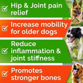 img 1 attached to Hemp Chews With Glucosamine For Dogs - Natural Hip & Joint Supplement With Hemp Oil, Turmeric, MSM, & Chondroitin - Supports Mobility - Made In USA With Bacon Flavor