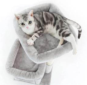 img 2 attached to 🐱 Pesofer Small Cat Tree: Dangling Ball, Large Perches, Light Gray - The Perfect Cat Tower for Your Feline Companion