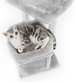 img 1 attached to 🐱 Pesofer Small Cat Tree: Dangling Ball, Large Perches, Light Gray - The Perfect Cat Tower for Your Feline Companion