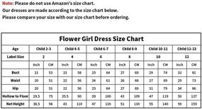 img 1 attached to Carat Chiffon Flutter Sleeves Dresses Girls' Clothing : Dresses