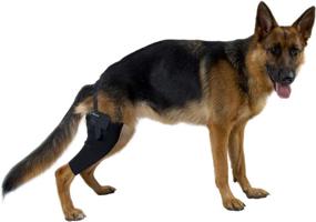 img 2 attached to 🐾 Optimized Knee Protector for Dogs by Kruuse Rehab