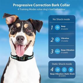 img 3 attached to 🐶 GHORA Anti Bark Collar for Dogs – Rechargeable Training Collar with Smart Triggering, 5 Adjustable Sensitivity Levels & Beep, Vibration, Shock – No Bark Collar for Small, Medium, Large Dogs (8-150lbs)